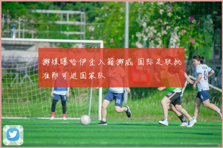 挪媒曝哈伊金入籍挪威 国际足联批准即可进国家队